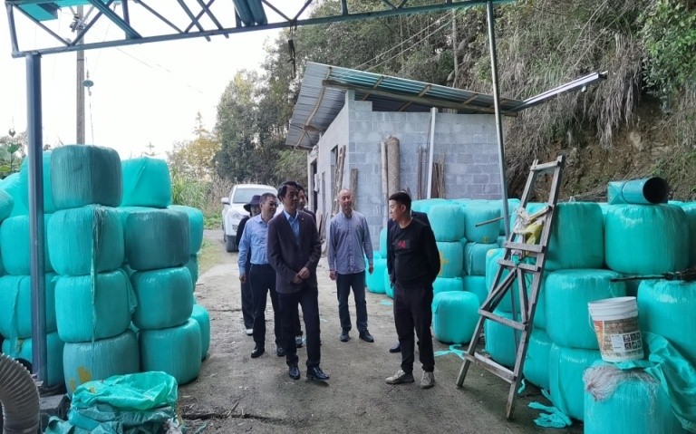 调研振兴2.jpg