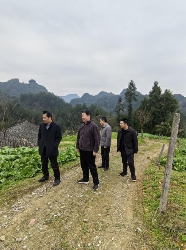 调研2.jpg